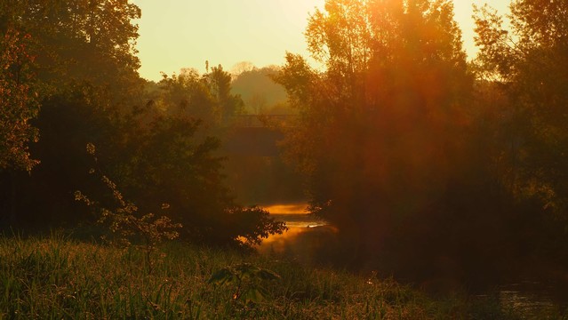 Diemel im Morgenlicht. Rechts und links dichtes Gestrüpp, in der Mitte quert eine alte Eisenbahnbrücke den Fluß auf dem eine Ente schwimmt