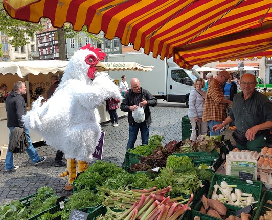Menschengroßes weißes Huhn (Kostüm) steht an einem Gemüsestand auf dem Wochenmarkt