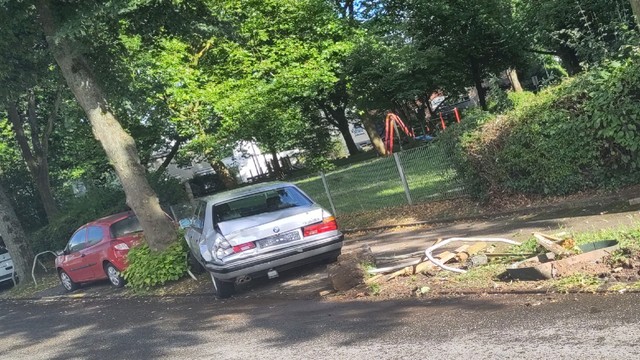 BMW silbern steht vor einem Baum

Hinter ihm liegt ein umgefahrener Baum und zwei Schutzbügel